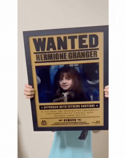 Quadro Harry Potter em 3d holográfico