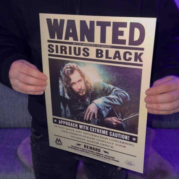 Quadro Harry Potter em 3d holográfico