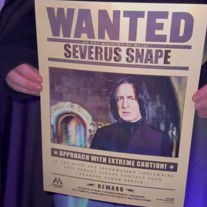 Quadro Harry Potter em 3d holográfico