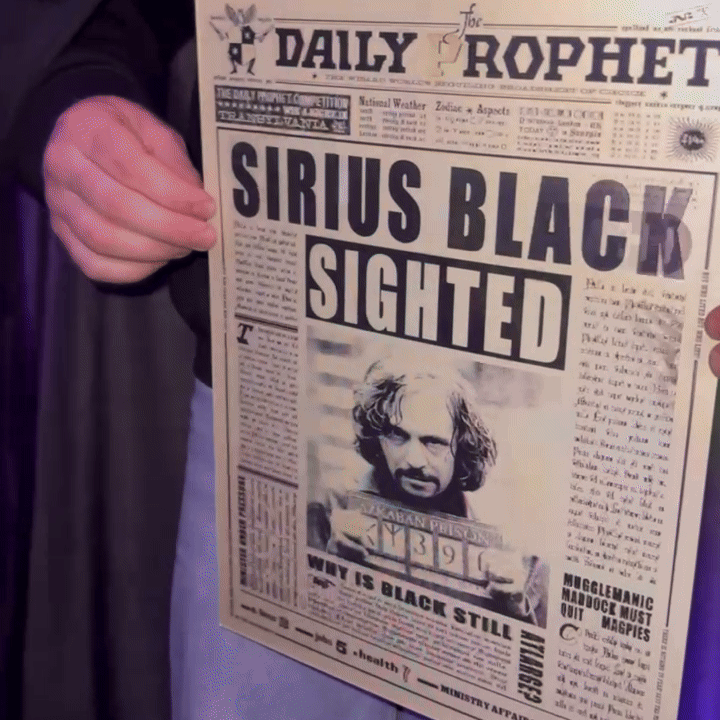 Quadro Harry Potter em 3d holográfico