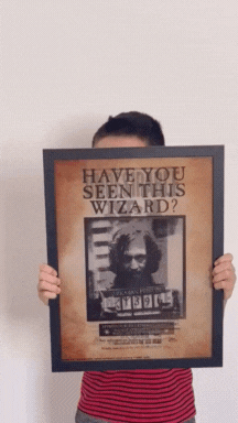 Quadro Harry Potter em 3d holográfico