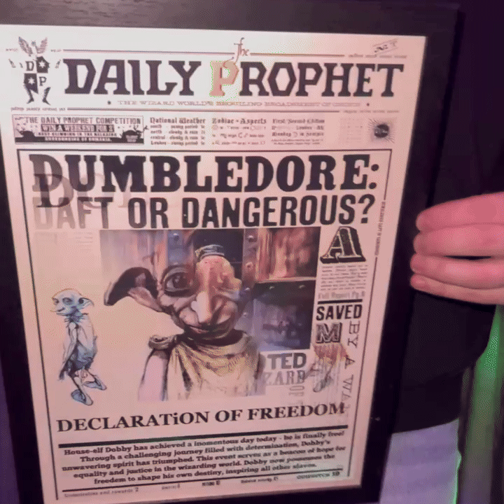 Quadro Harry Potter em 3d holográfico