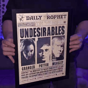 Quadro Harry Potter em 3d holográfico