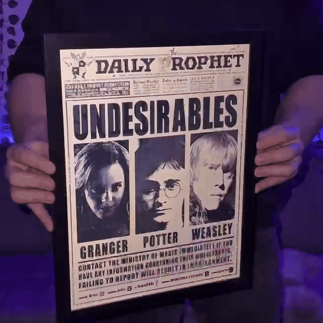 Quadro Harry Potter em 3d holográfico