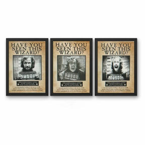 Quadro Harry Potter em 3d holográfico
