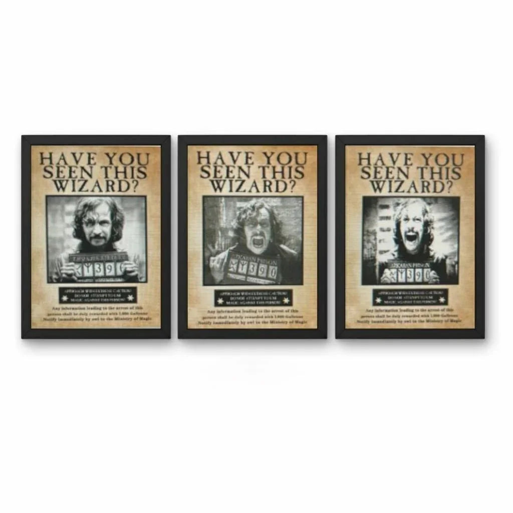 Quadro Harry Potter em 3d holográfico
